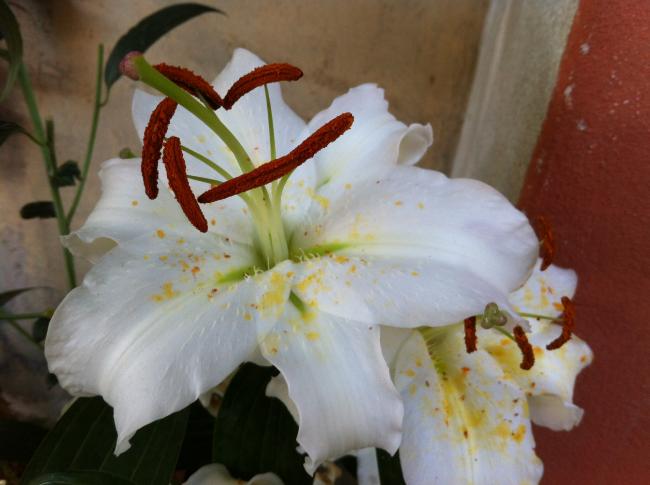 Name:  049.jpg
Views: 710
Size:  35.7 KB