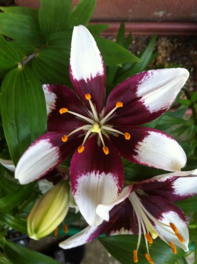 Name:  081.jpg
Views: 713
Size:  70.4 KB