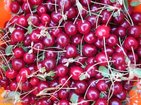Name:  vine.jpg
Views: 871
Size:  58.1 KB