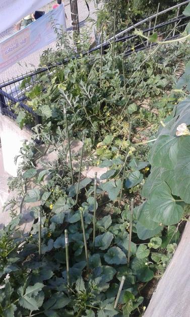 Name:  20150702_091702.jpg
Views: 556
Size:  66.9 KB