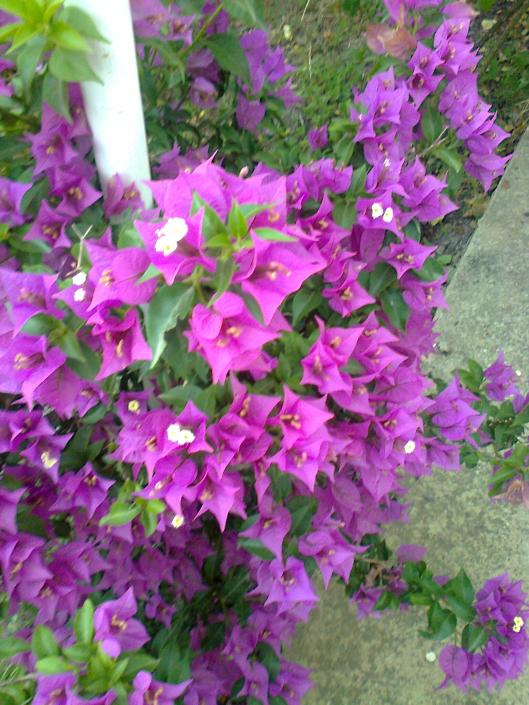 Name:  Fotoraf3041.jpg
Views: 439
Size:  76.4 KB