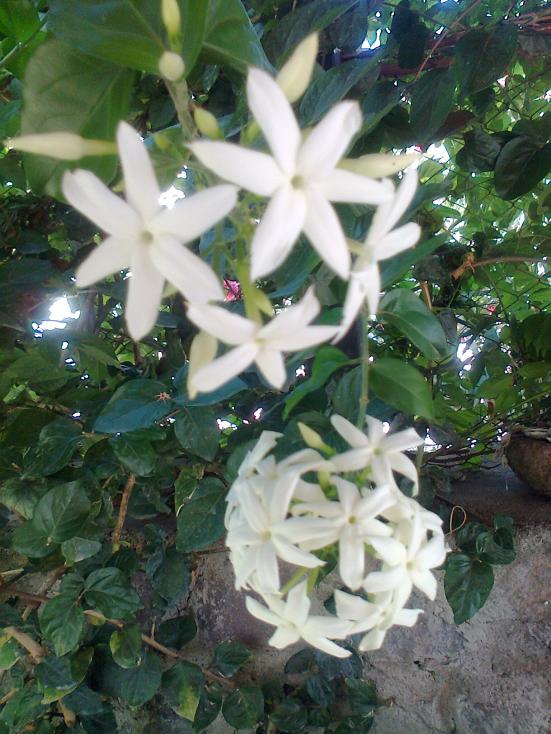 Name:  Fotoraf3071.jpg
Views: 448
Size:  73.6 KB