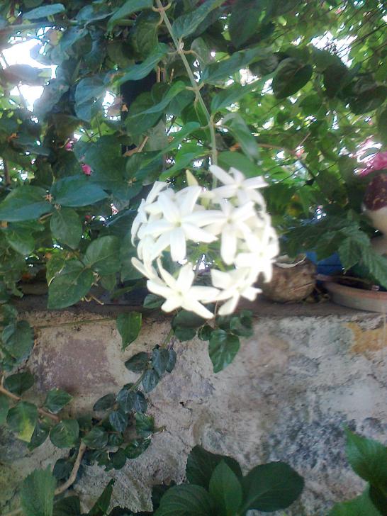 Name:  Fotoraf3070.jpg
Views: 457
Size:  74.0 KB
