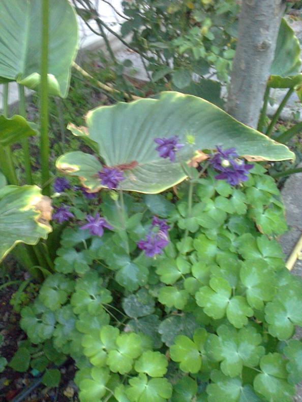 Name:  Fotoraf3064.jpg
Views: 423
Size:  72.5 KB