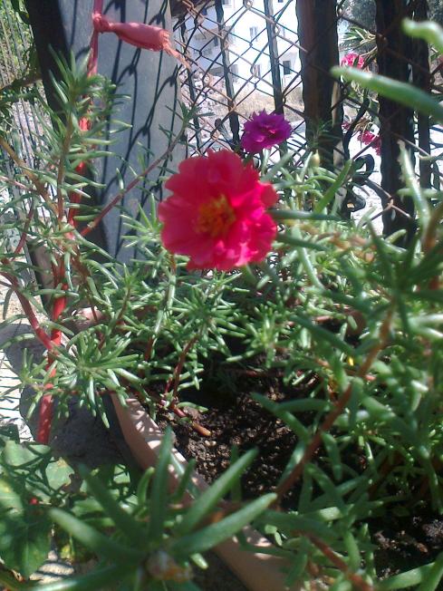 Name:  Fotoraf3073.jpg
Views: 436
Size:  78.4 KB