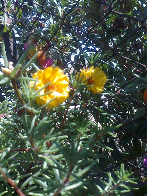 Name:  Fotoraf3072.jpg
Views: 436
Size:  80.6 KB