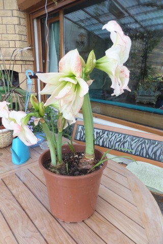 Name:  DSCF9976.jpg
Views: 301
Size:  64.2 KB