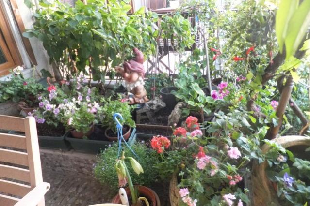 Name:  DSCF1204.jpg
Views: 249
Size:  64.3 KB