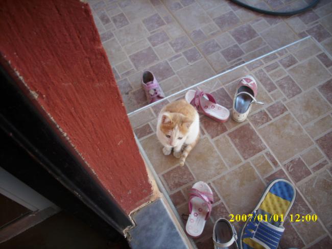 Name:  DSCI0587.jpg
Views: 1445
Size:  41.1 KB