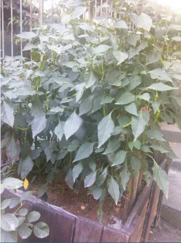 Name:  ba3.JPG
Views: 335
Size:  46.2 KB