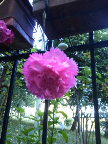 Name:  kar2.JPG
Views: 328
Size:  49.4 KB