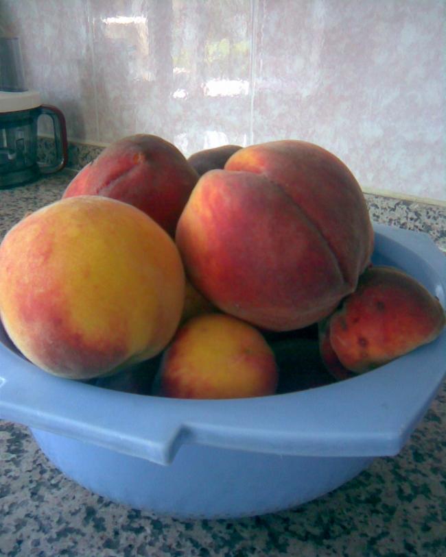 Name:  Grnt366.jpg
Views: 659
Size:  51.1 KB