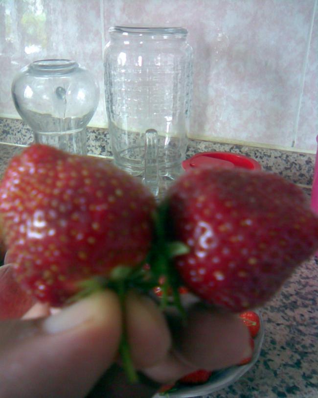 Name:  Grnt392.jpg
Views: 693
Size:  51.8 KB