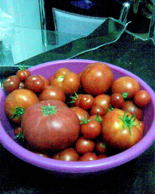Name:  Grnt393.jpg
Views: 702
Size:  72.6 KB