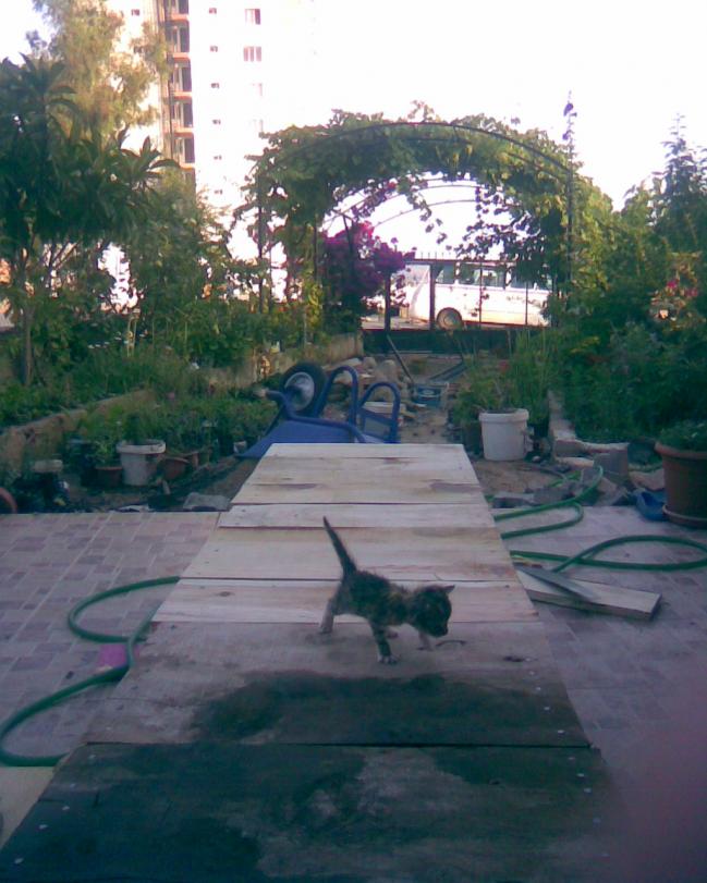 Name:  inaat alanisedire devam.jpg
Views: 617
Size:  70.2 KB