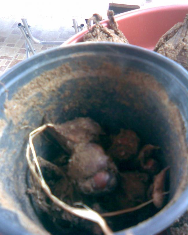 Name:  soanlar2.jpg
Views: 530
Size:  50.6 KB