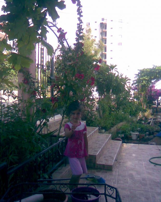 Name:  kzm ve iekler.jpg
Views: 570
Size:  71.5 KB