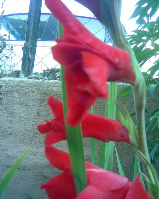 Name:  k-4.jpg
Views: 504
Size:  70.2 KB