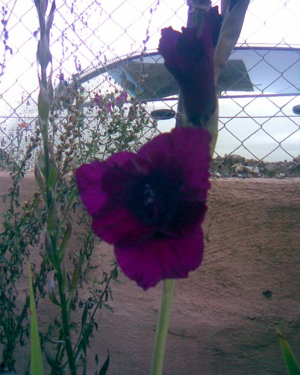 Name:  m-1.jpg
Views: 483
Size:  71.5 KB