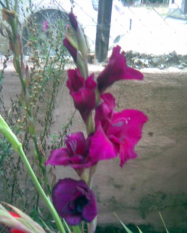 Name:  m-2.jpg
Views: 609
Size:  70.4 KB