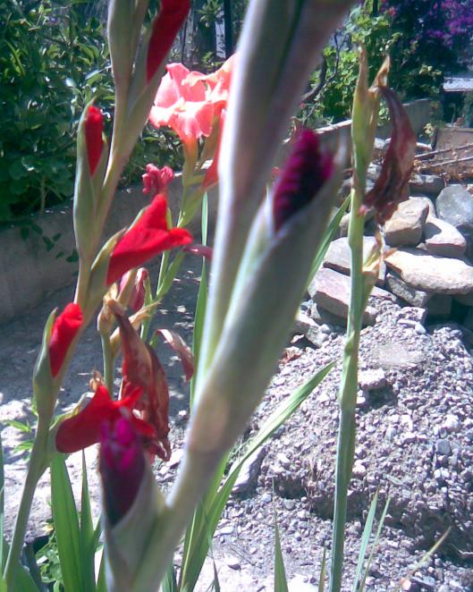 Name:  Grnt221.jpg
Views: 542
Size:  77.1 KB