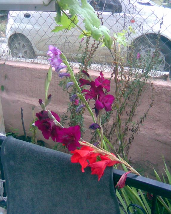 Name:  toplu 1.jpg
Views: 785
Size:  72.6 KB