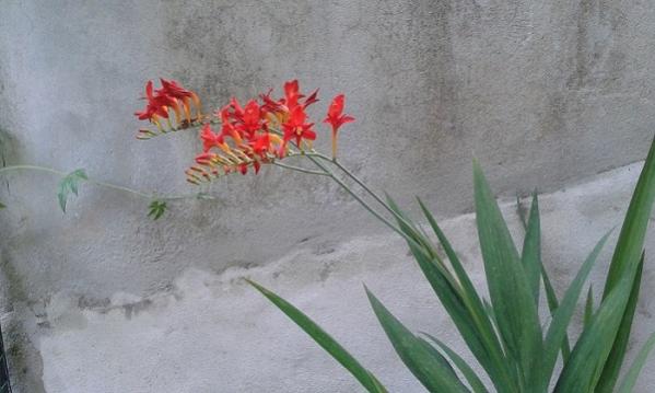 Name:  20150715_170238.jpg
Views: 701
Size:  31.9 KB