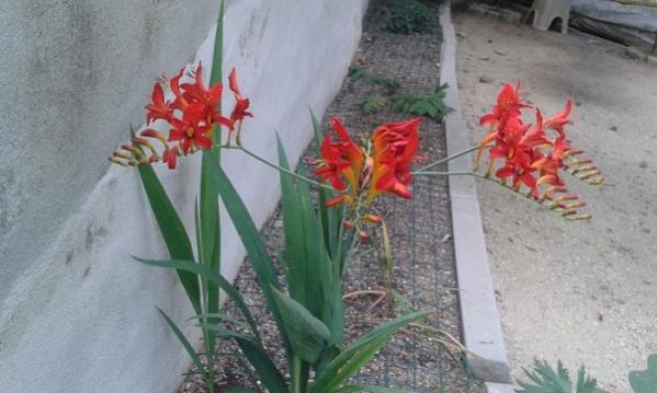 Name:  20150715_170418.jpg
Views: 724
Size:  35.8 KB