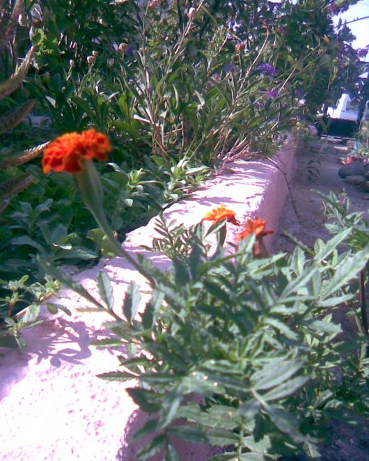 Name:  KADF1.jpg
Views: 749
Size:  77.1 KB