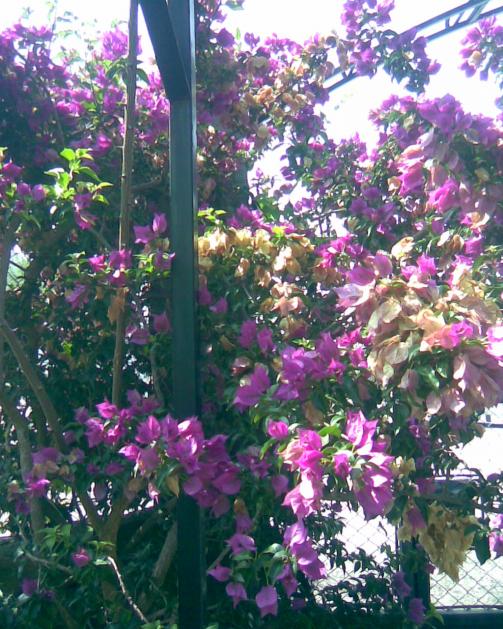 Name:  Grnt022.jpg
Views: 872
Size:  78.9 KB