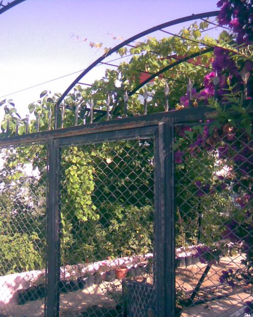Name:  GNEYDEN GRN.jpg
Views: 838
Size:  77.1 KB