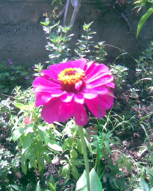 Name:  Grnt006.jpg
Views: 688
Size:  78.1 KB