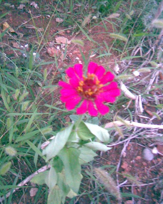 Name:  Grnt036.jpg
Views: 676
Size:  74.5 KB