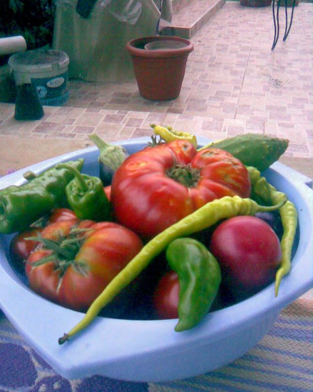 Name:  Grnt038.jpg
Views: 560
Size:  69.8 KB