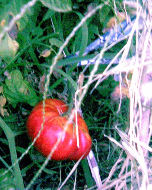 Name:  Grnt034.jpg
Views: 589
Size:  74.1 KB