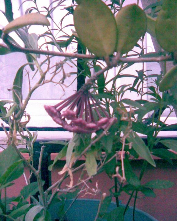 Name:  Grnt041.jpg
Views: 565
Size:  73.1 KB