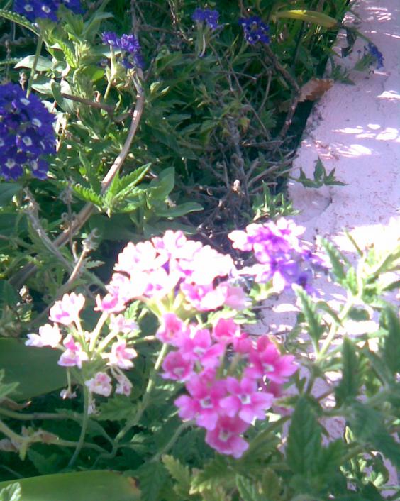 Name:  M-3.jpg
Views: 835
Size:  75.6 KB