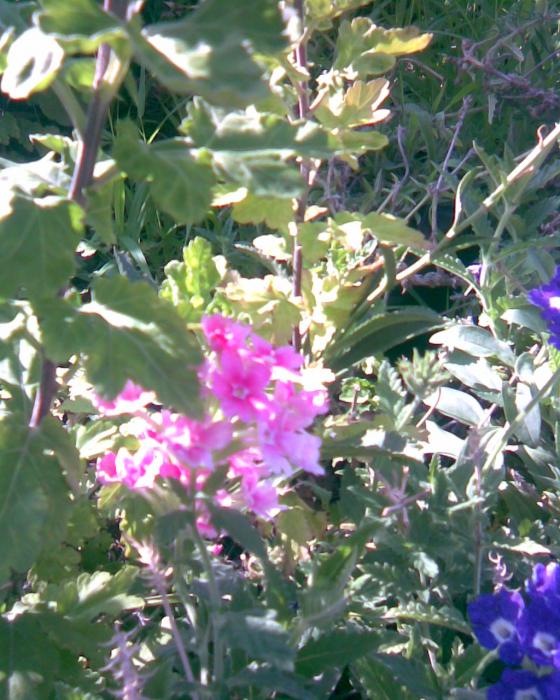 Name:  M-5.jpg
Views: 773
Size:  75.6 KB