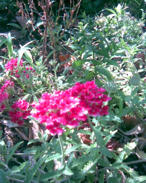 Name:  M-7.jpg
Views: 739
Size:  80.2 KB