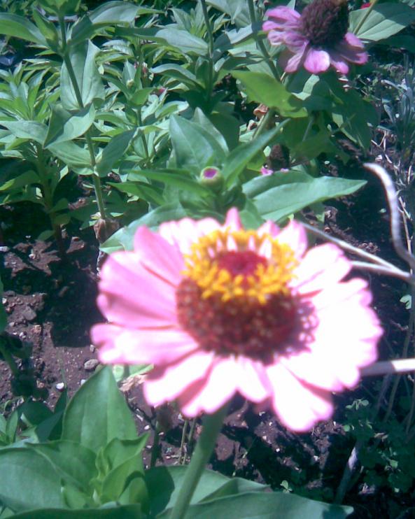 Name:  Grnt014.jpg
Views: 701
Size:  73.5 KB