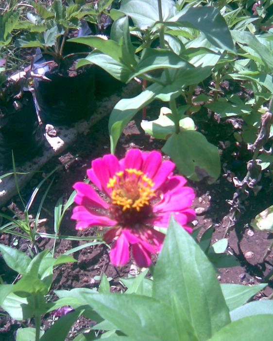 Name:  Grnt016.jpg
Views: 721
Size:  75.4 KB