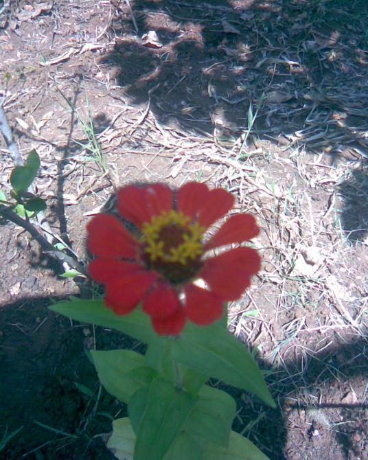 Name:  Grnt006.jpg
Views: 470
Size:  75.0 KB