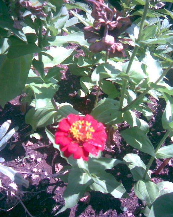 Name:  Grnt012.jpg
Views: 453
Size:  76.1 KB