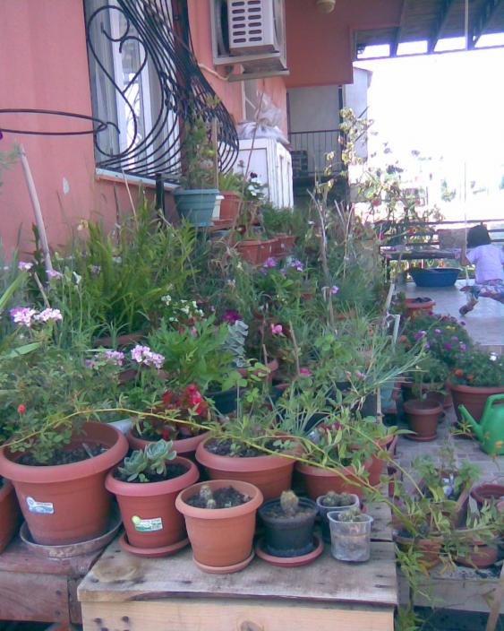 Name:  ieklik3.jpg
Views: 808
Size:  74.1 KB