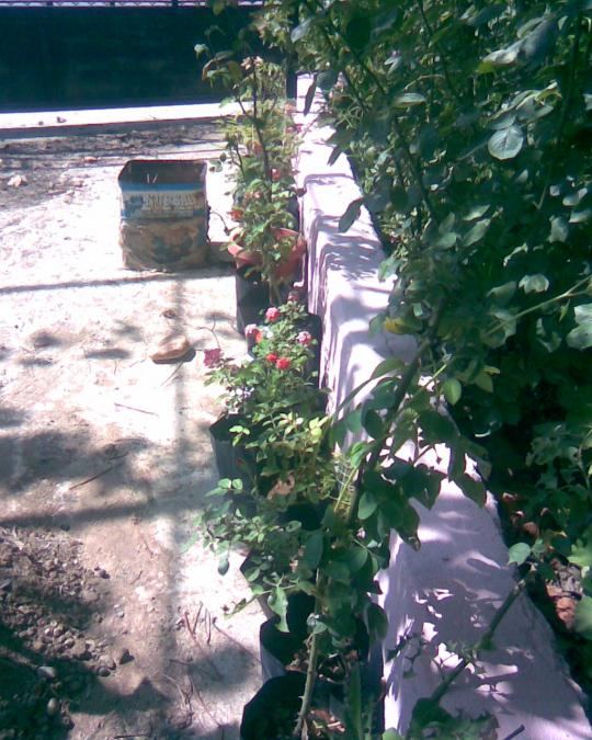 Name:  gller.jpg
Views: 443
Size:  76.3 KB