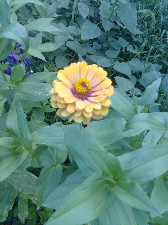 Name:  Fotoraf3200.jpg
Views: 271
Size:  72.0 KB
