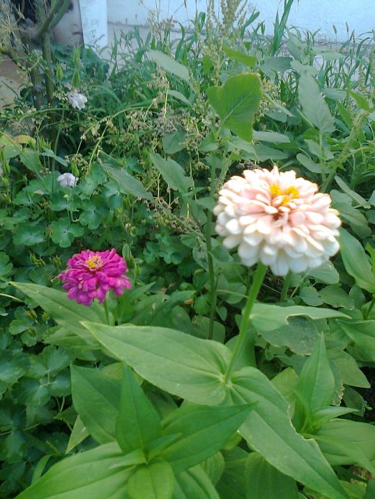 Name:  Fotoraf3204.jpg
Views: 269
Size:  75.1 KB
