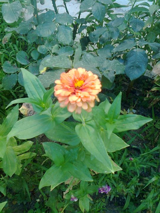Name:  Fotoraf3202.jpg
Views: 280
Size:  75.1 KB