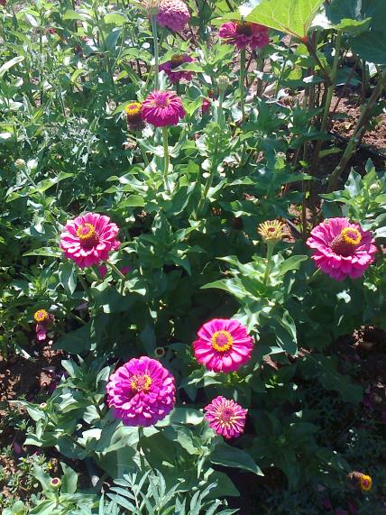 Name:  Fotoraf3122.jpg
Views: 275
Size:  79.7 KB