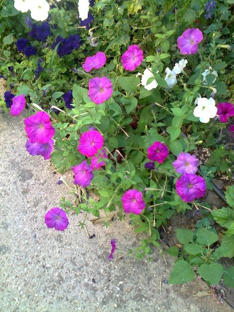 Name:  Fotoraf3208.jpg
Views: 273
Size:  77.3 KB